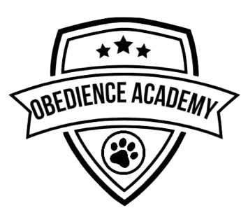 Obedience Academy 